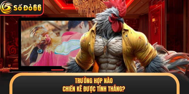 Trường hợp nào chiến kê được tính thắng? 